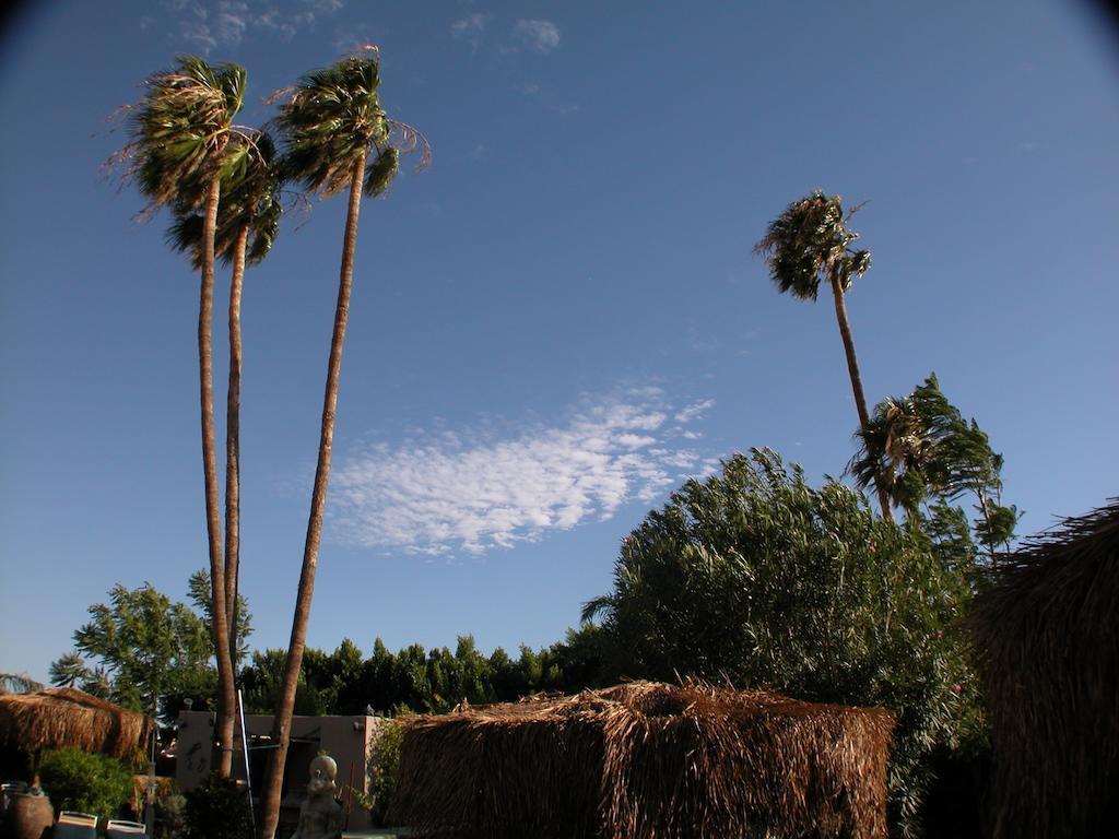 Sea Mountain Nude Resort & Spa Hotel - Adults Only Desert Hot Springs Exterior foto